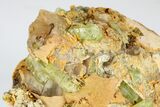 Lustrous, Yellow Apatite Crystals In Calcite & Feldspar - Morocco #185473-2